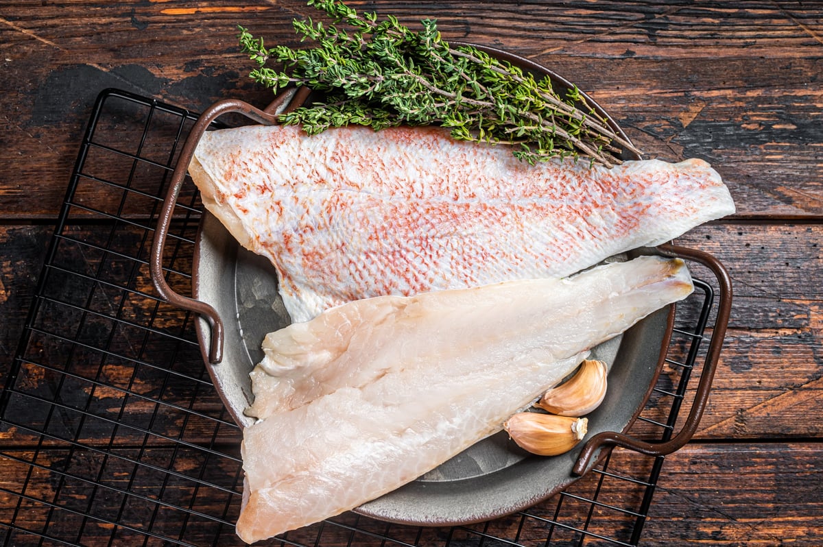 Raw red perch fillet, redfish fish meat in a steel tray