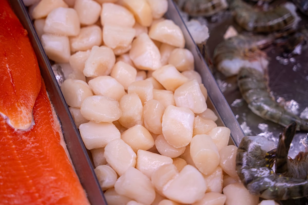 View of fresh bay scallops in fish market