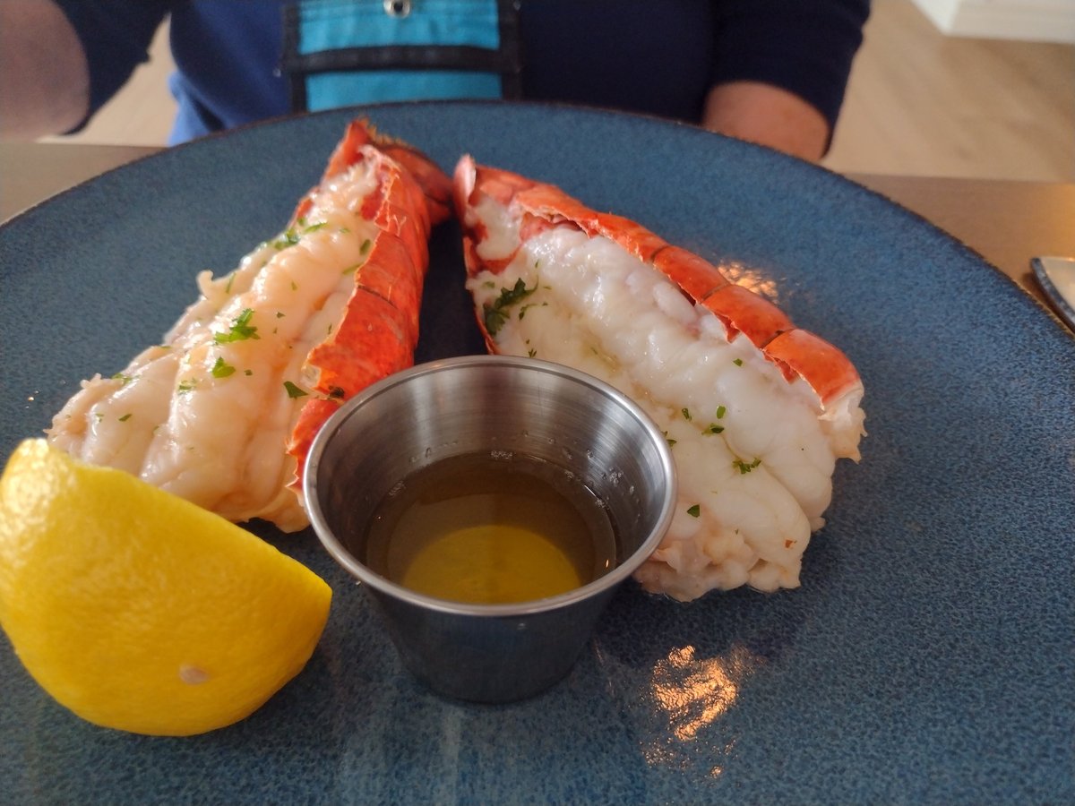 Maine lobster tails with dipping butter and lemon on blue plate at restaurant